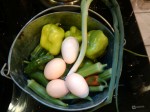 Fresh from the garden brunch