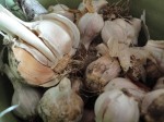 Back to the Soup Challenge: for the garlic lover