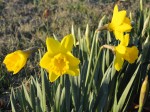 Spring is Here