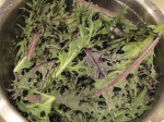 Kale and kale recipes
