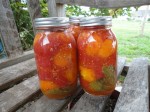 Twenty-seven pounds of tomatoes from the farmers market and a trip update