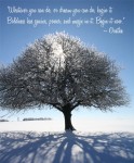 Happy New Year!