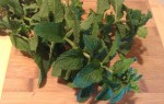 My first guest post