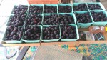It’s blackberry pickin’ time again!