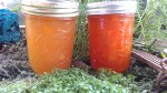Peaches and Nectarines (and jams and marmalade and preserves).   It’s going to be a Peach-palooza!