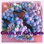 Gala of Grapes