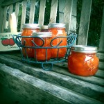 Peach Marmalade from Blue Chair Jam Cookbook
