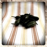 I picked a peck of pickled peppers….