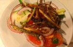 The Last of the Okra