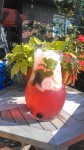 Blackberry-Cucumber Water
