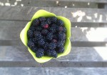 Blackberry-Port Jam