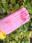 Creamsicle Strawberry Pops