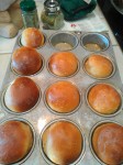 Whole Wheat Rolls