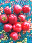 Pickled Cherry Peppers
