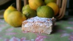 Meyer Lemon Almond Bars