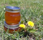 Dandelion Jelly