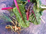 Bacon-Swiss Chard Soba Noodles