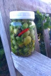 Pickled Green Cherry Tomatoes