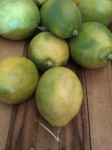 Elixirs for Xmas: Homemade Lemon Extract