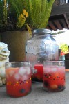 Watermelon Wine Spritzer with Fruit