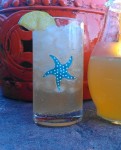 Icy Rum Punch from the Islands