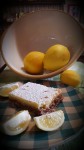 Meyer Lemon Bars (with Graham Cracker Crust)