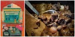 Boeuf Bourginon for Cook the Books