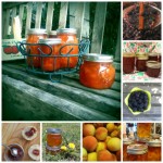 Jam of the Month Club