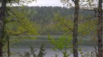 A Visit to the Natural State for an Opportunity to Relax