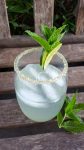 Volver Mojito