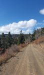 Two roads diverged in a wood…