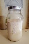Sourdough Starter (again)