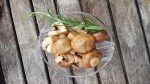 Marinated Mushrooms and a book review for In This Ground by Beth Castrodale