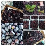 A Very Berry Good Time
