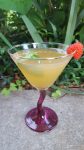 Midnight in Paris and a Golden Age Cocktail