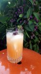 Happy Halloween with Death Becomes Her and “A Touch of Magic Cocktail to Beat Thyme”