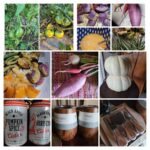 Autumn Buddha Bowl Recipe (A Belated “In My Kitchen”)