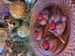 Holiday Cheer Chocolate Cookies
