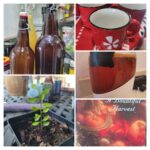 May 2024 “In My Kitchen”