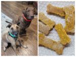 Pumpkin-Oatmeal Dog Treats